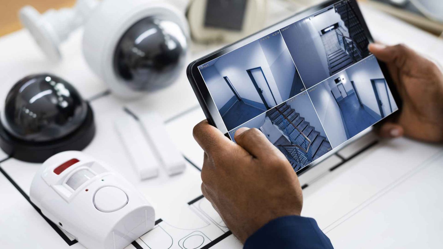 Gallery image with a fresh perspective